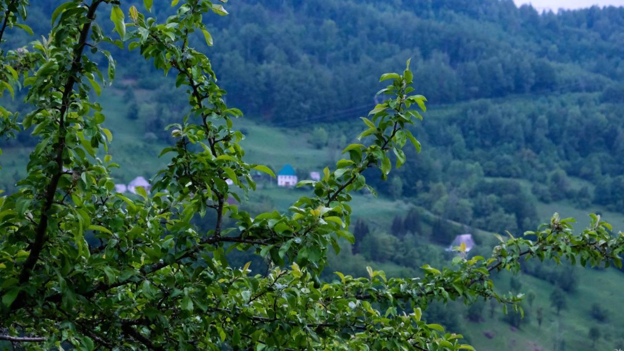 Fern Farm Eco Resort Mojkovac Luaran gambar