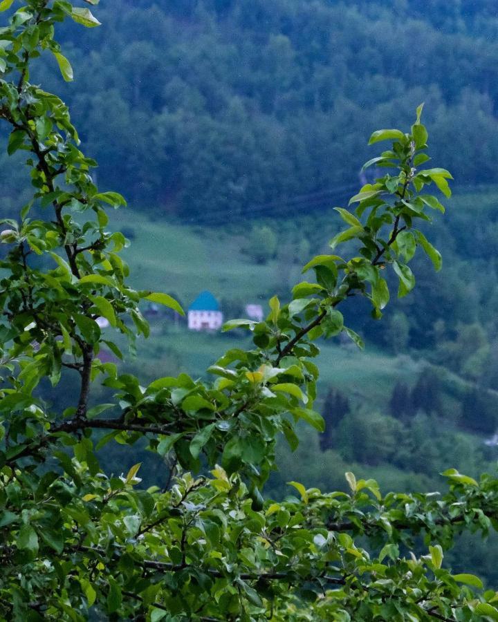 Fern Farm Eco Resort Mojkovac Luaran gambar