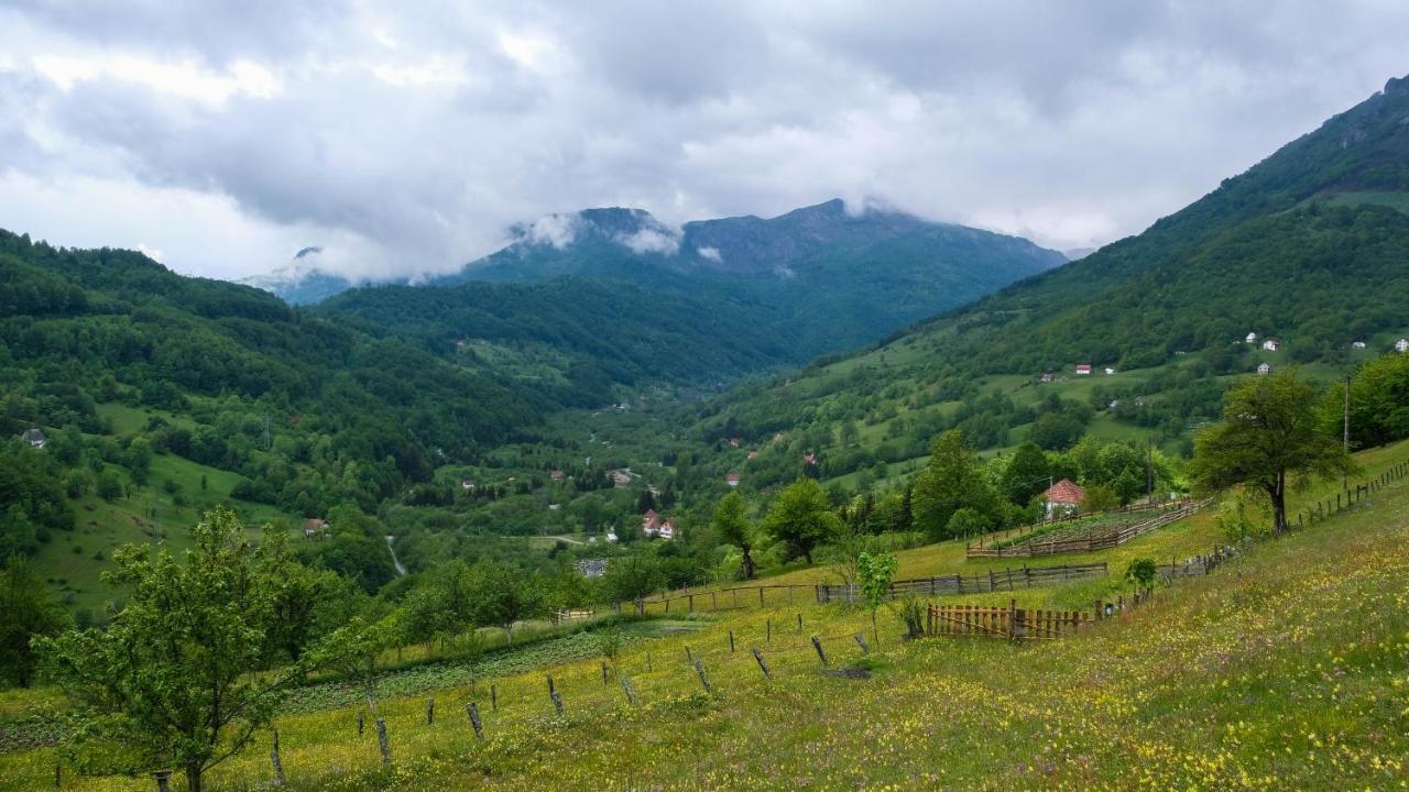 Fern Farm Eco Resort Mojkovac Luaran gambar