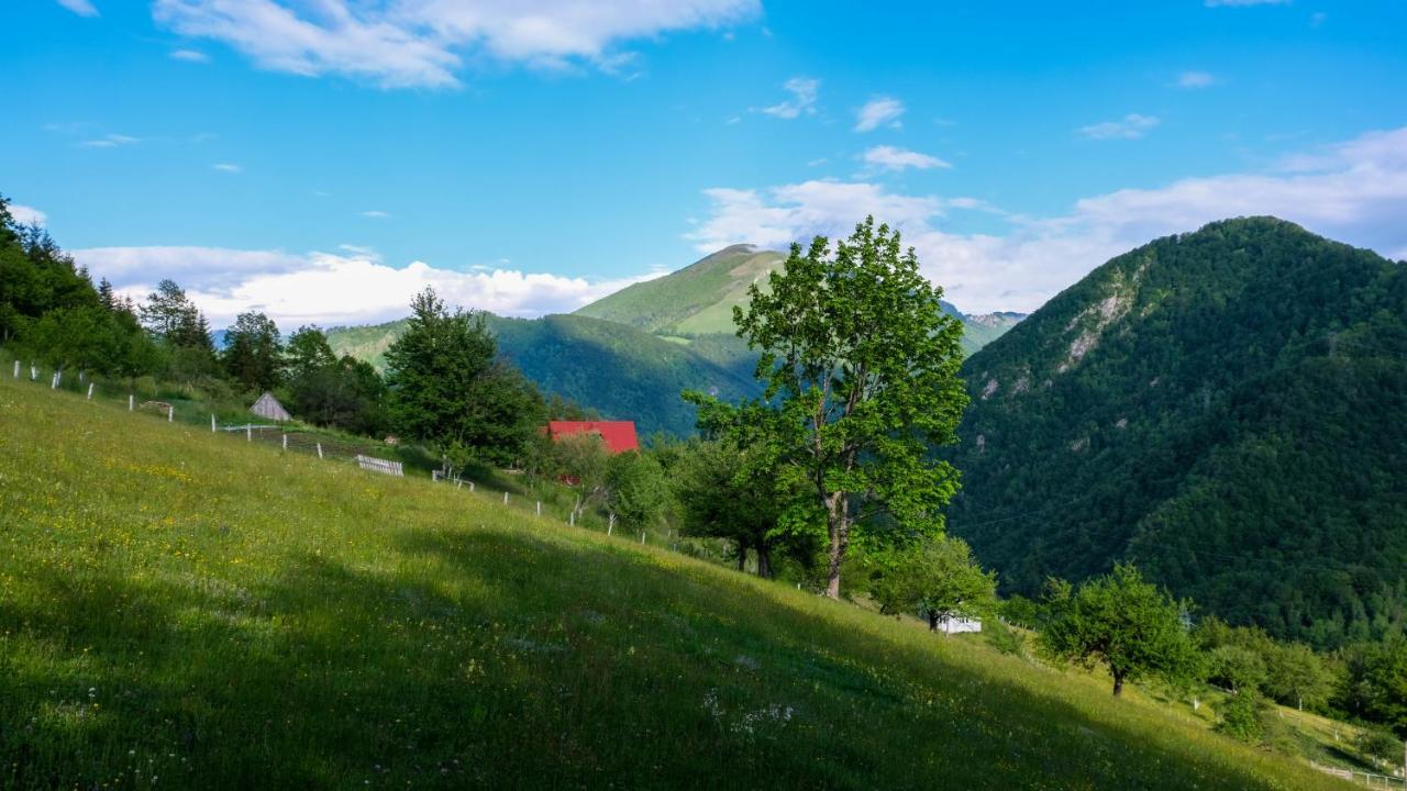 Fern Farm Eco Resort Mojkovac Luaran gambar