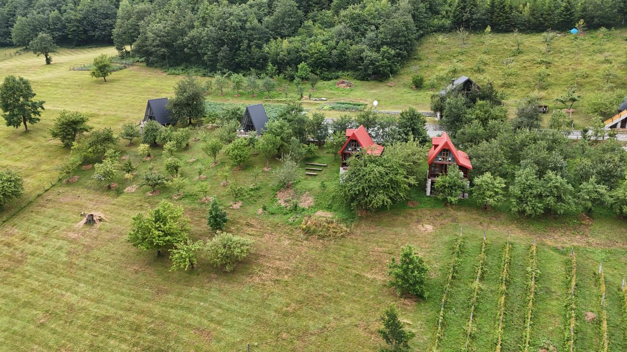 Fern Farm Eco Resort Mojkovac Luaran gambar