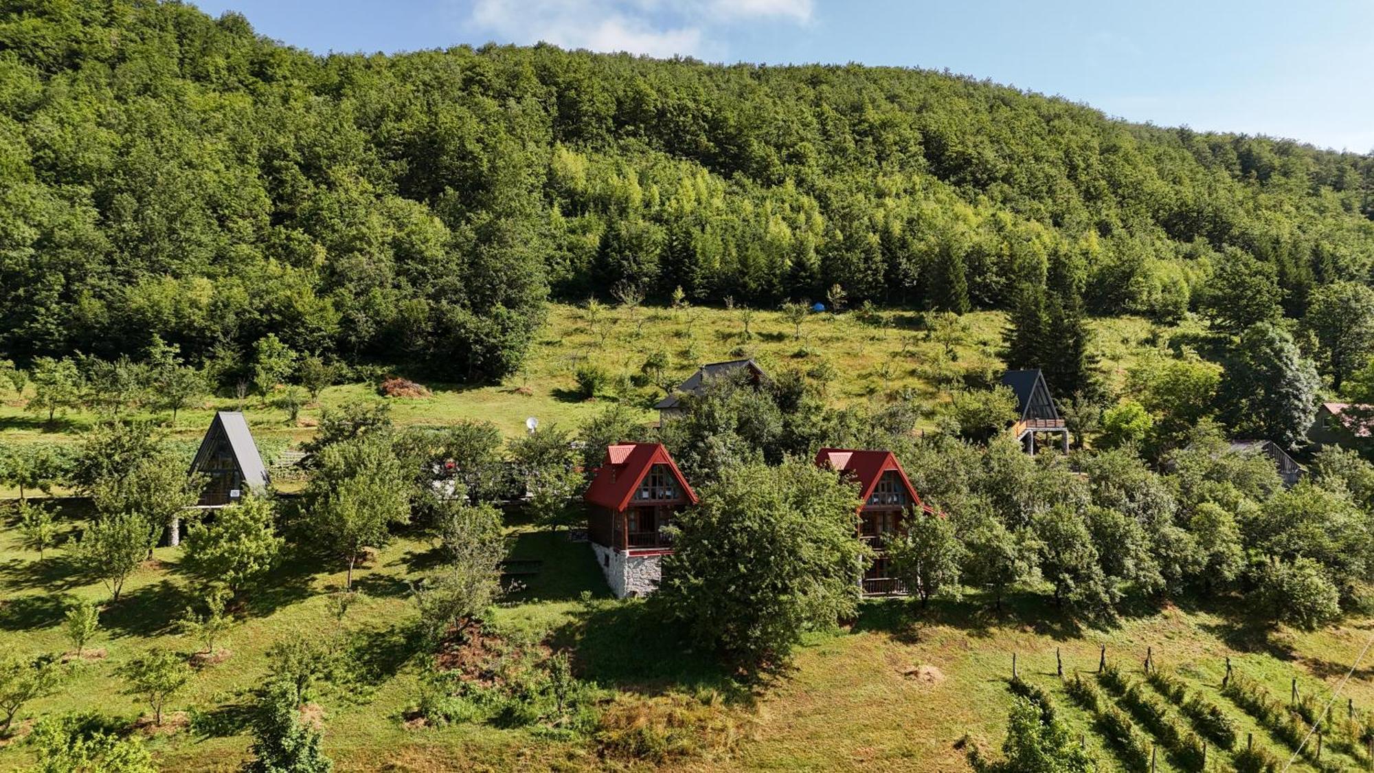 Fern Farm Eco Resort Mojkovac Luaran gambar